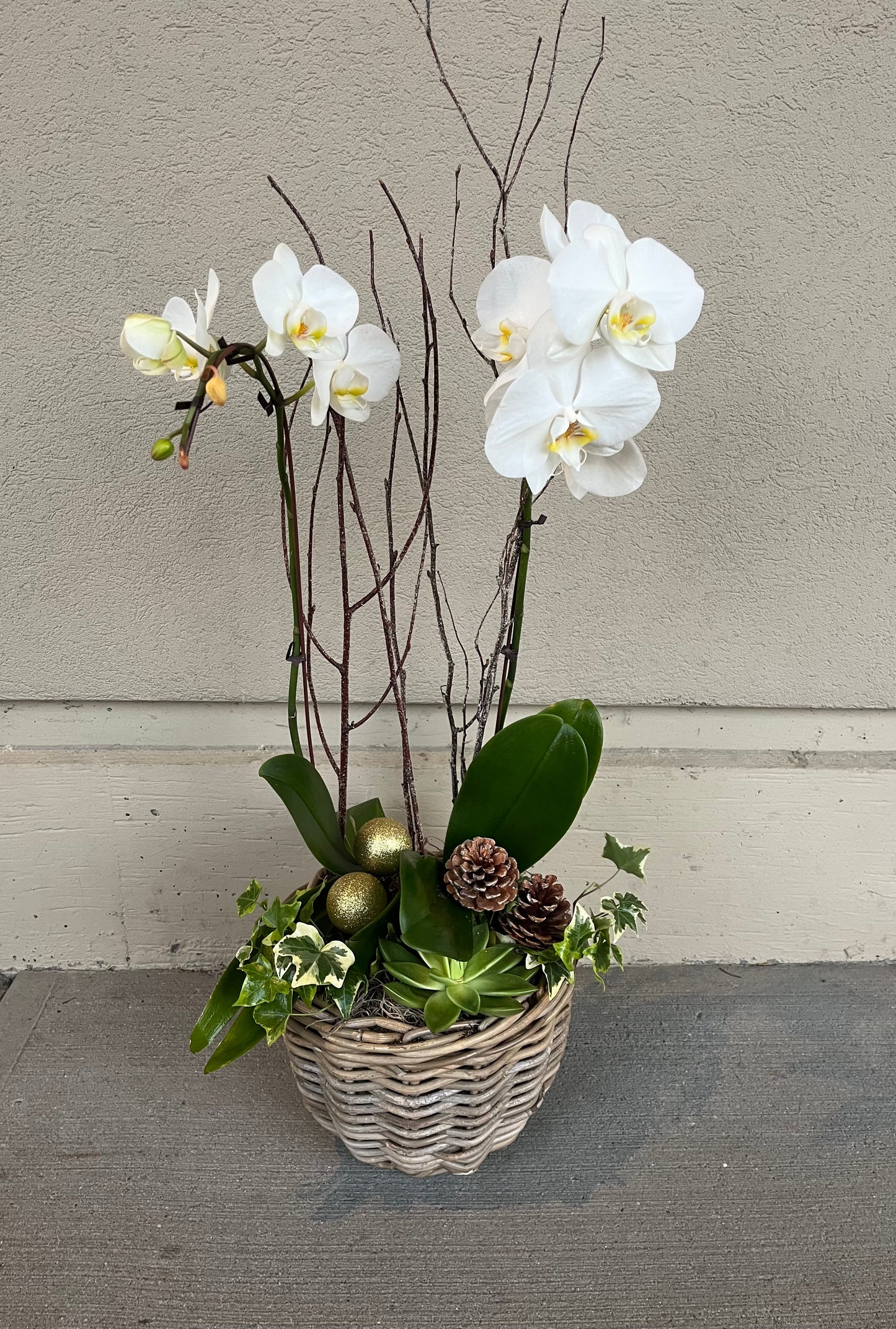 Double Orchid Seasonal Planter