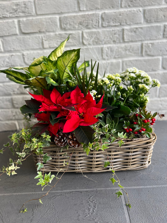 Christmas Planter Basket