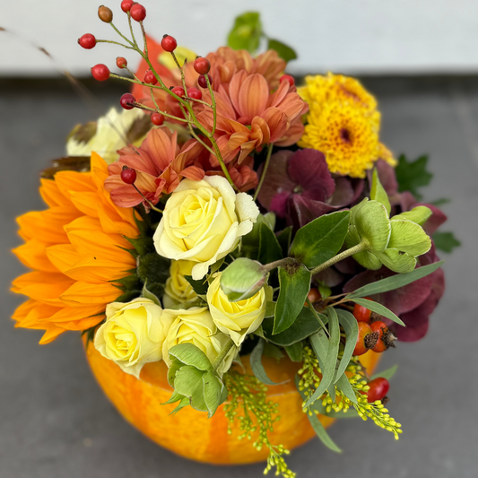 Autumn Glory Pumpkin