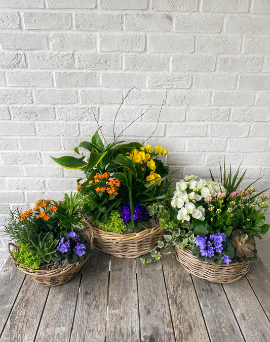 Planter Basket