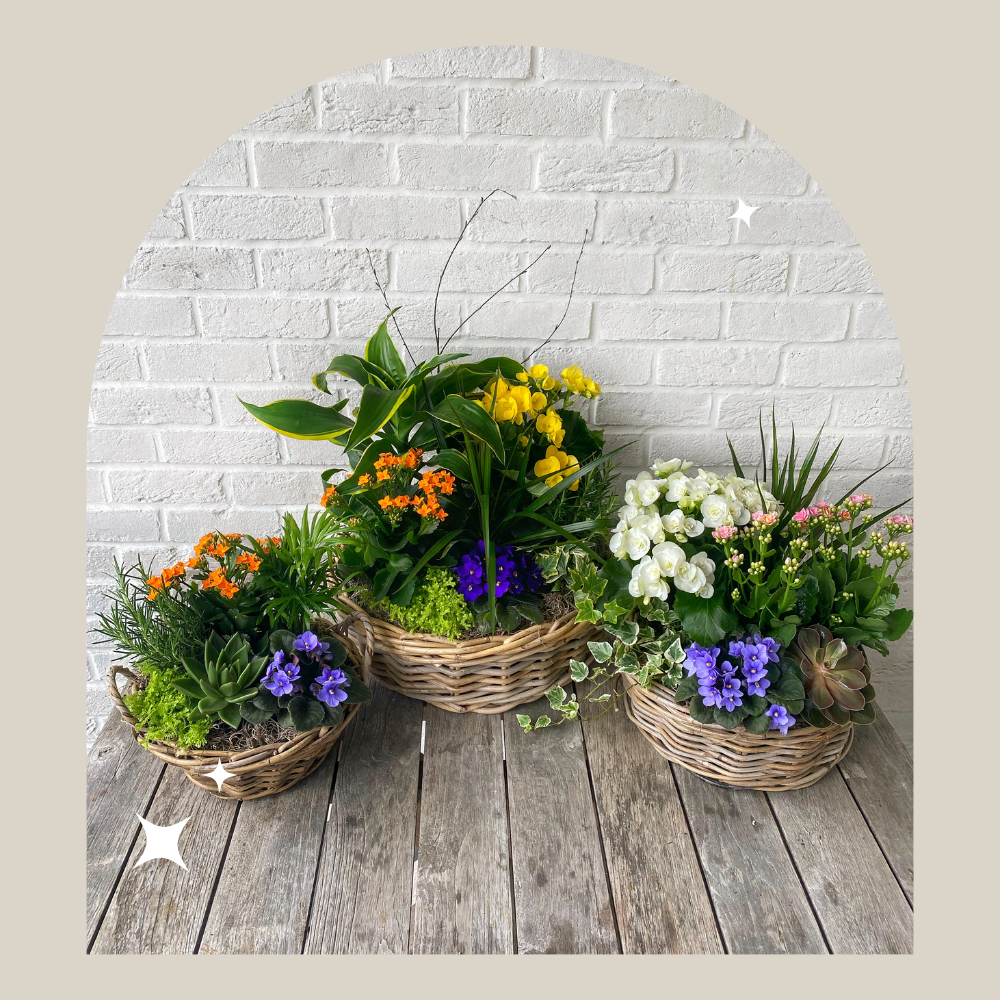 Flowers & Company Langley Flowers & Company Langley