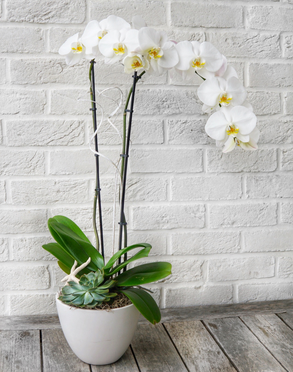 Planters Flowers & Company Langley